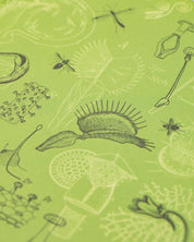 Carnivorous Plants Hardcover - Lined/Grid - Cognitive Surplus