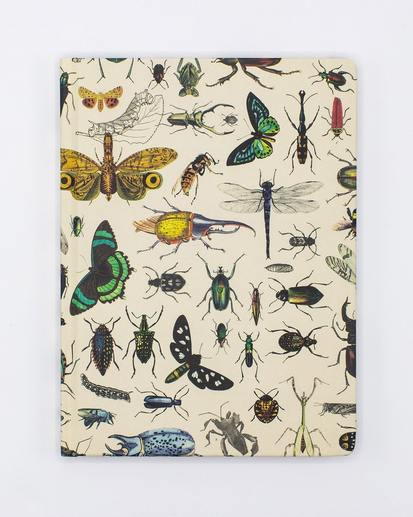 Insect Hardcover - Lined/Grid
