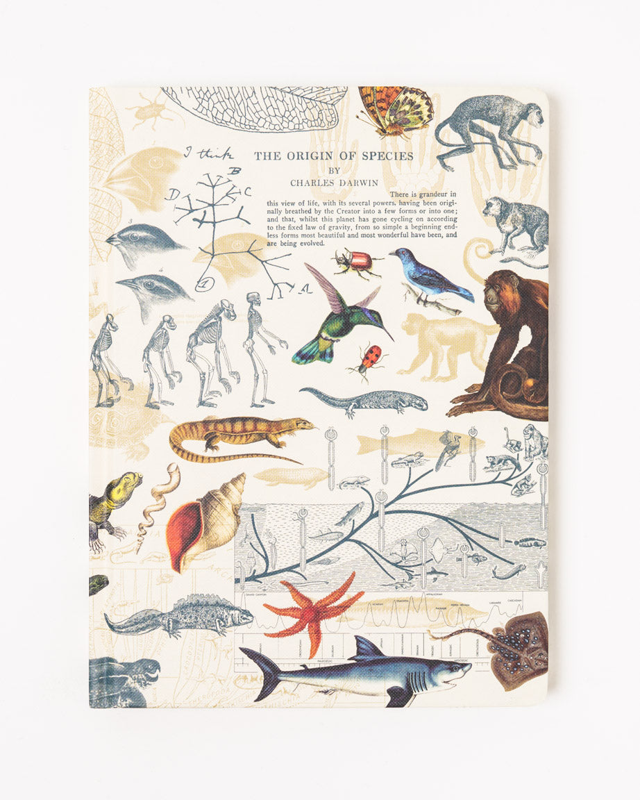 Evolution Hardcover Notebook - Dot Grid