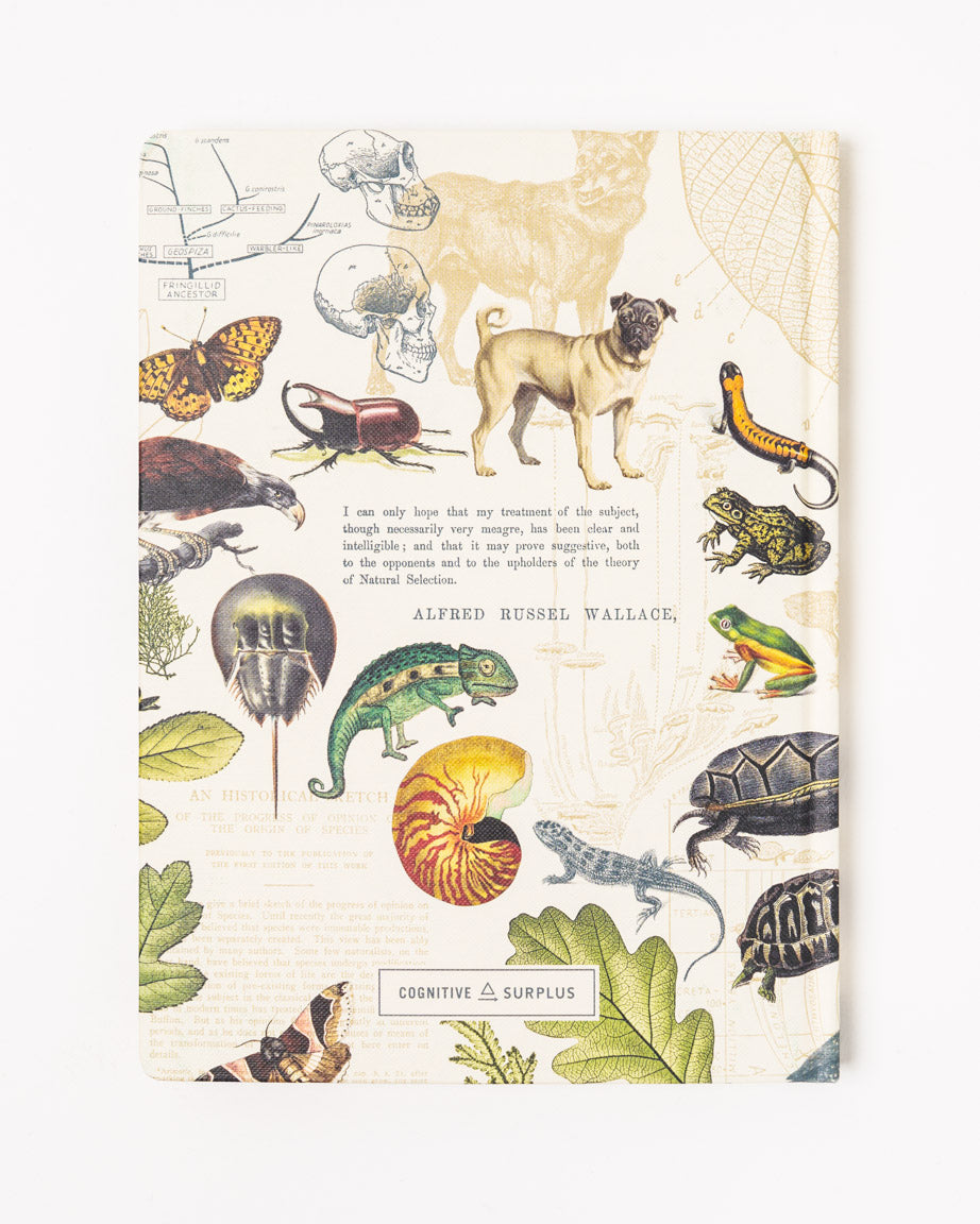 Evolution Hardcover Notebook - Dot Grid