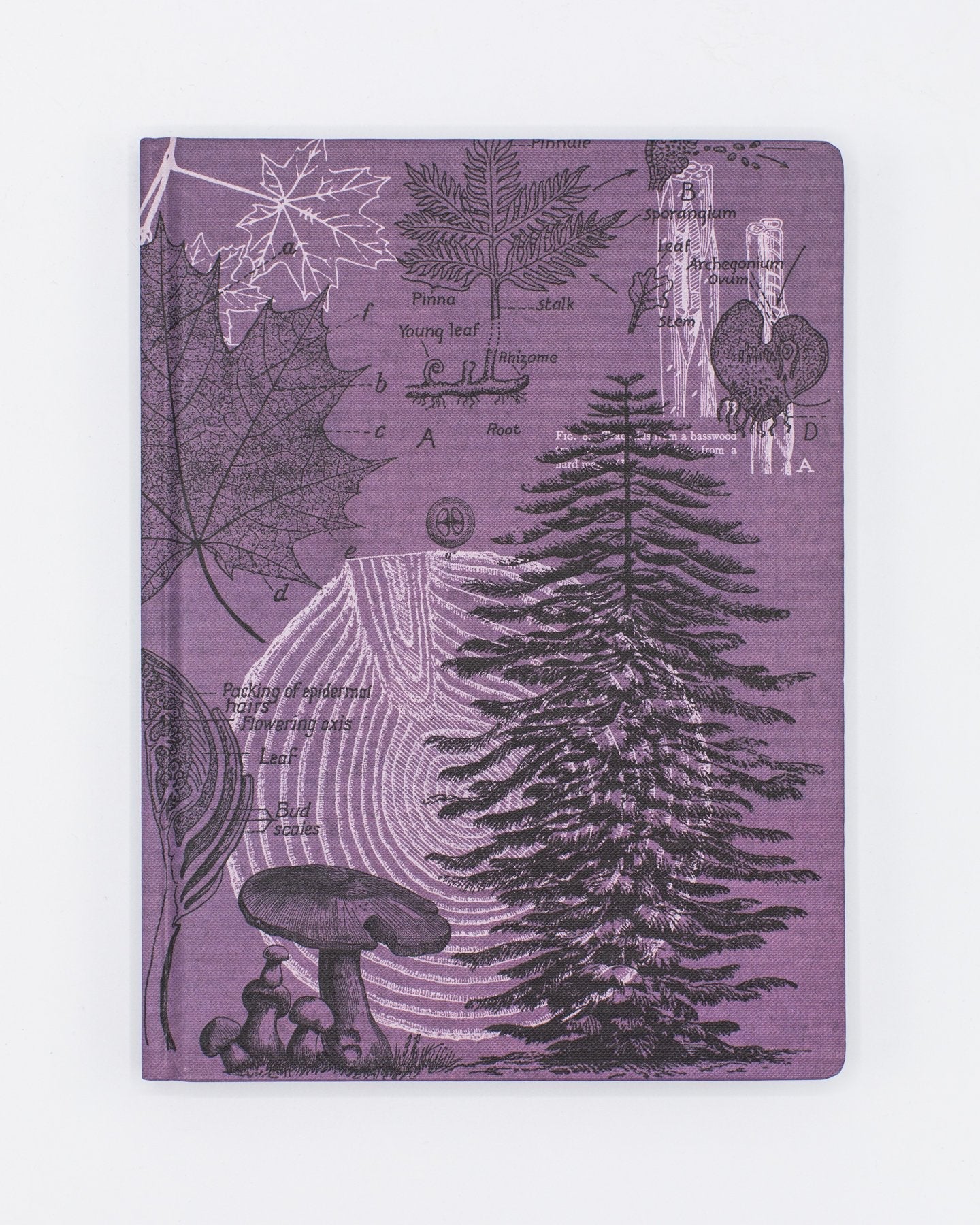 Forest at Dusk Hardcover - Dot Grid