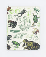 Frogs & Toads Hardcover Notebook - Dot Grid
