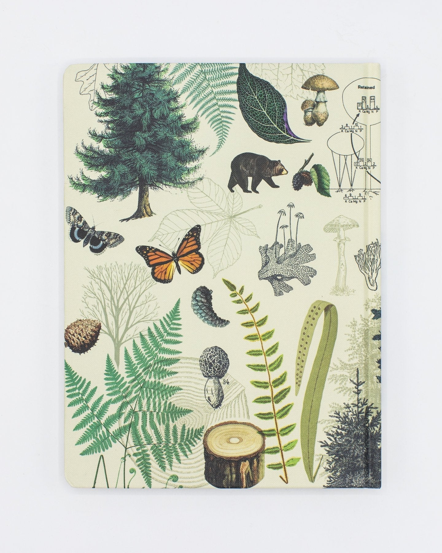 Woodland Forest Hardcover - Dot Grid