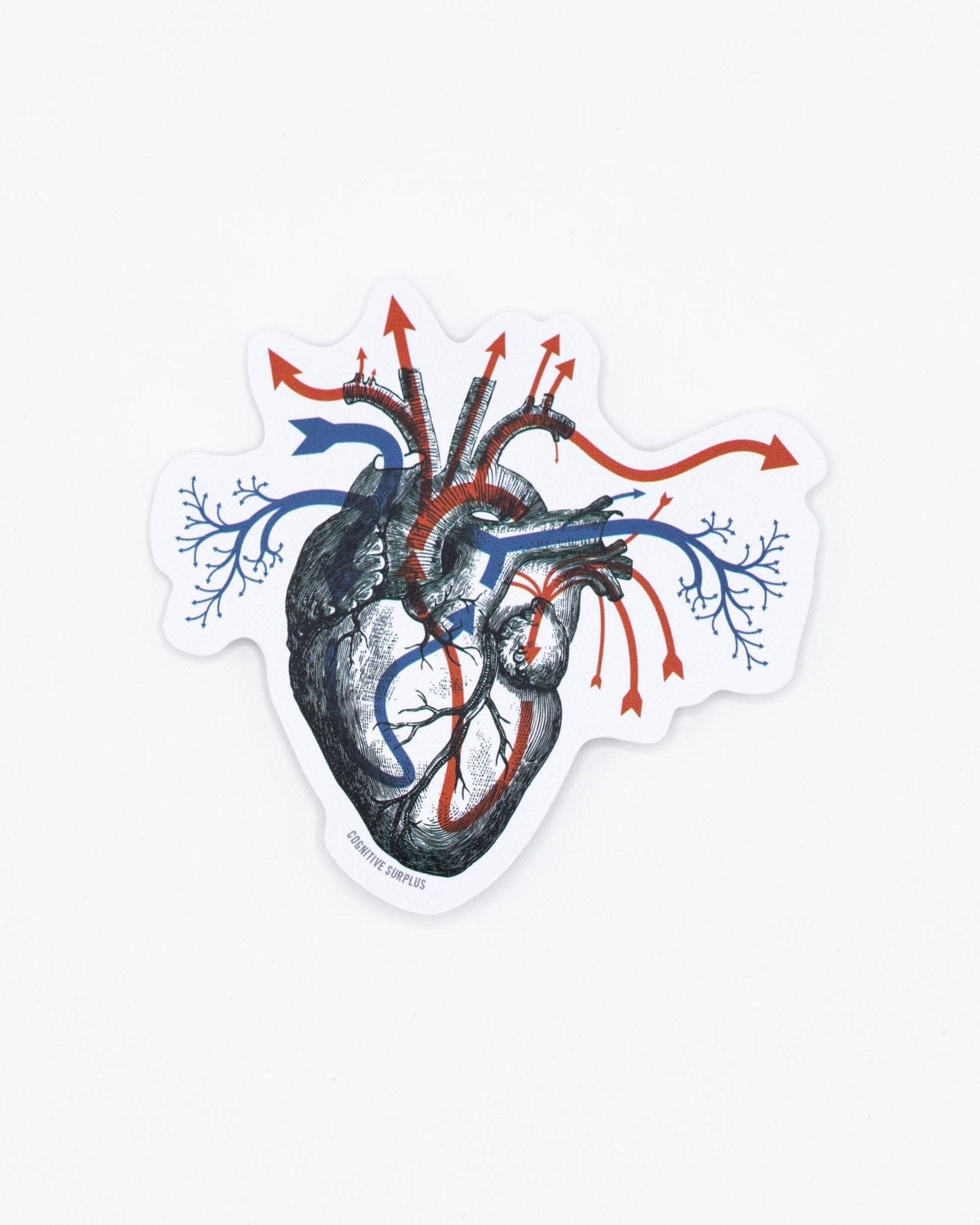 Heart-Blood-Flow-Sticker-Cognitive-Surplus-547.jpg