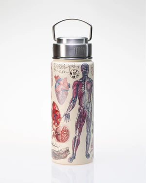 Human-Anatomy-18-oz-Steel-Bottle-Cognitive-Surplus-990.webp