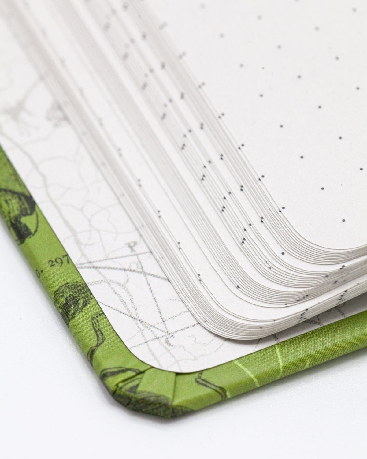 Insects Butterflies & Beetles Hardcover Notebook - Dot Grid