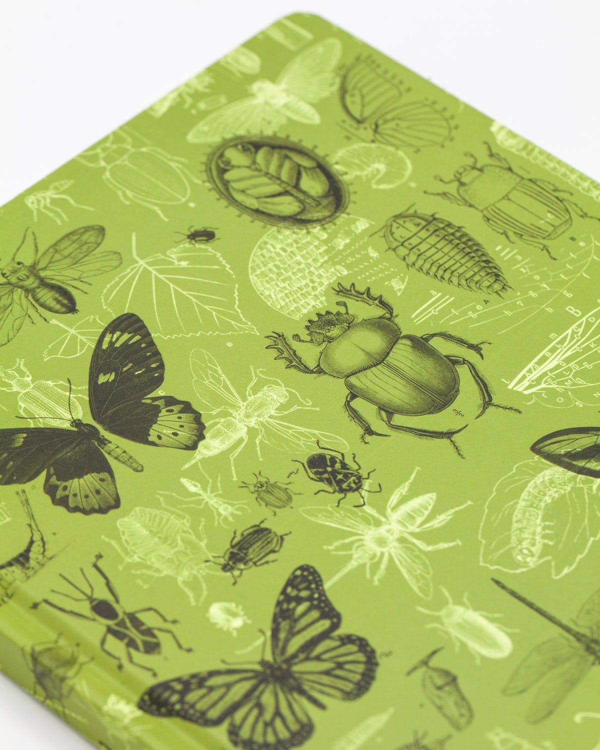 Insects Butterflies & Beetles Hardcover Notebook - Dot Grid