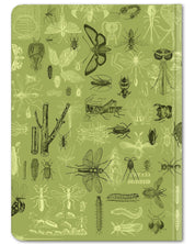 Insects Butterflies & Beetles Hardcover Notebook - Dot Grid
