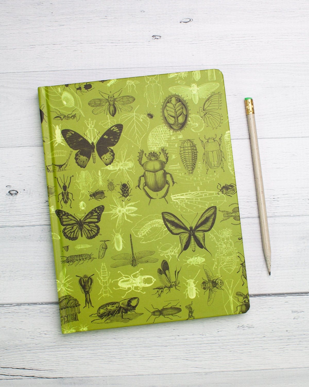 Insects Butterflies & Beetles Hardcover Notebook - Dot Grid