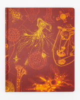 Microbiology Lab Notebook