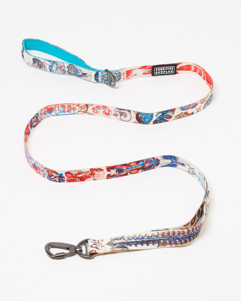Anatomy Eco Pet Leash
