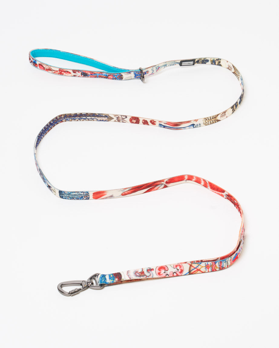 Anatomy Eco Pet Leash