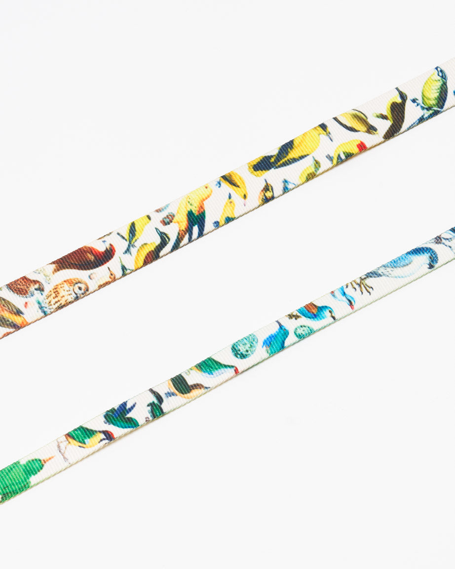 Birds Eco Pet Leash