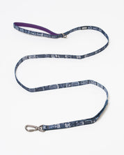Brain Eco Pet Leash