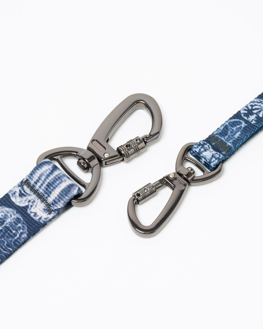 Brain Eco Pet Leash
