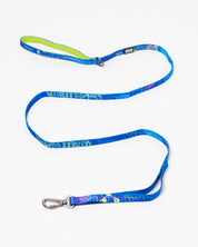 Chemistry Eco Pet Leash