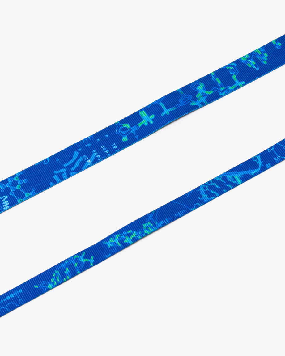 Genetics & DNA Eco Pet Leash