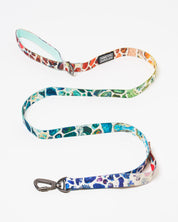 Gems & Minerals Eco Pet Leash