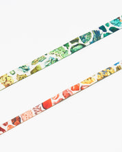 Gems & Minerals Eco Pet Leash