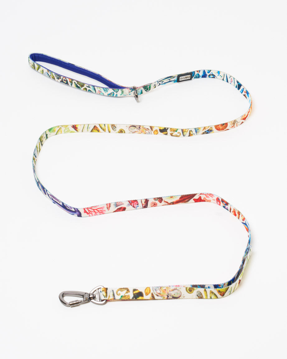 Ocean Science Eco Pet Leash
