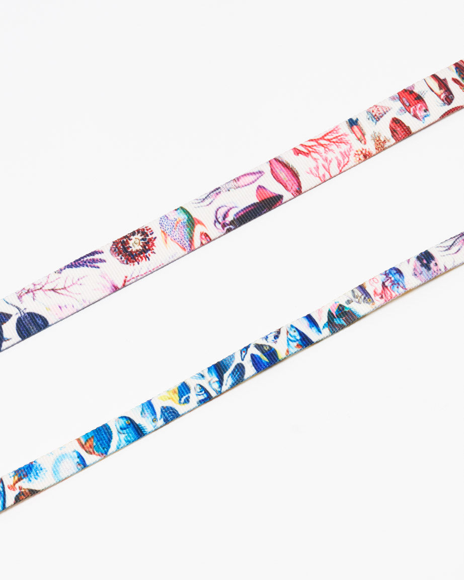 Ocean Science Eco Pet Leash