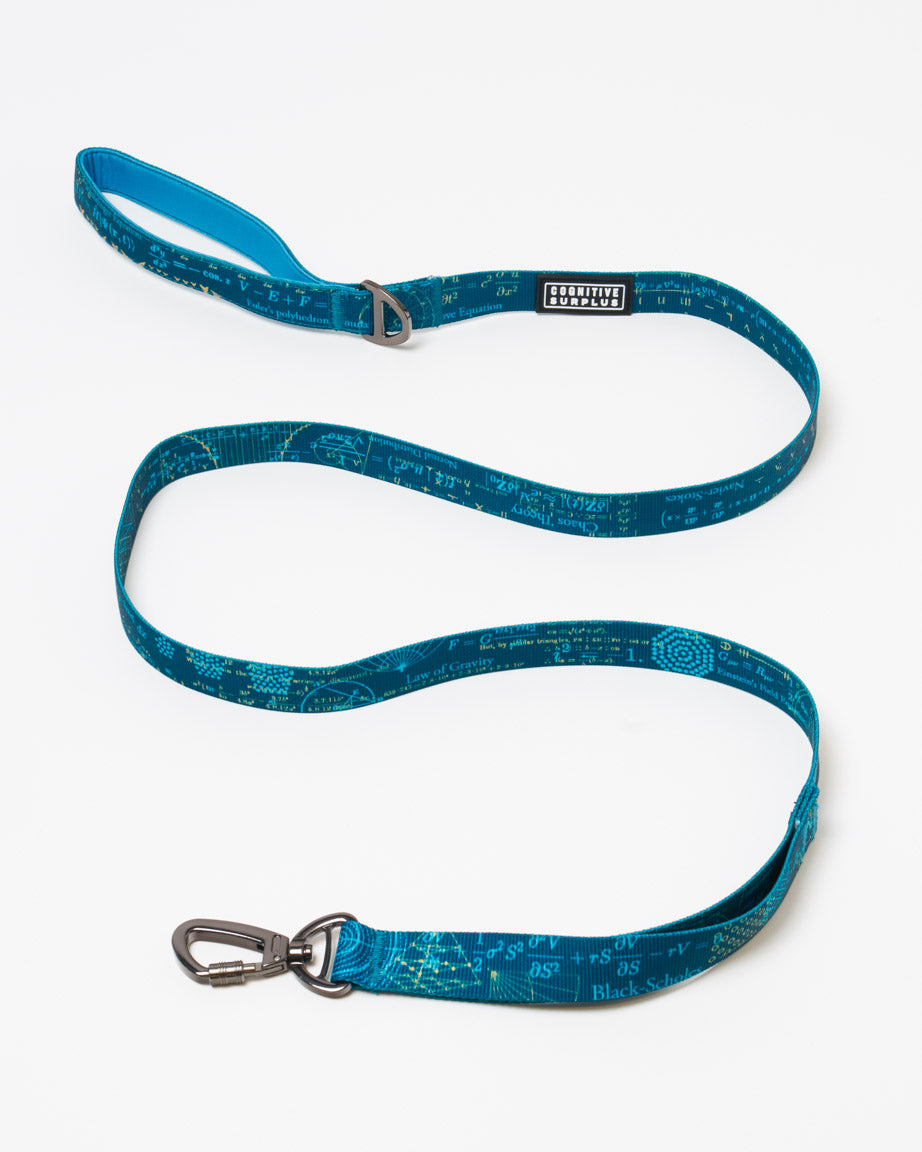 Equations That Changed the World Eco Pet Leash