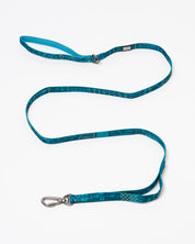 Equations That Changed the World Eco Pet Leash