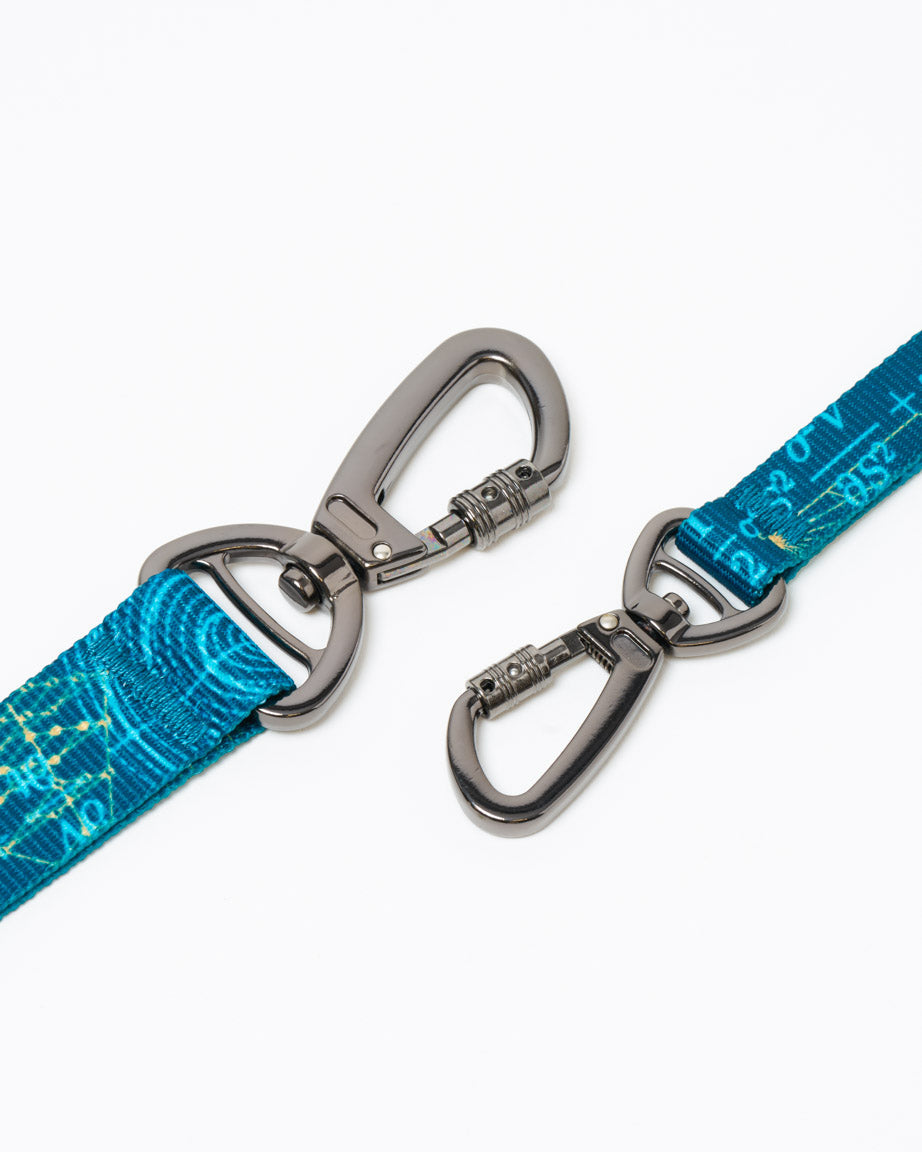 Equations That Changed the World Eco Pet Leash