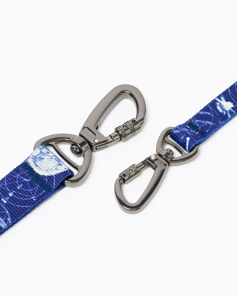 Astronomy Eco Pet Leash