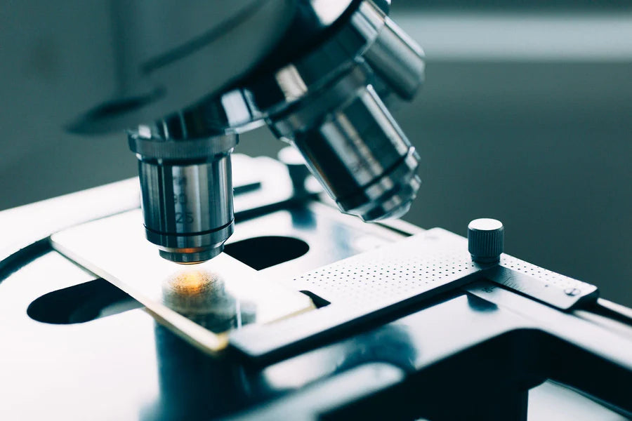 Microbiology-Cognitive-Surplus-767.webp