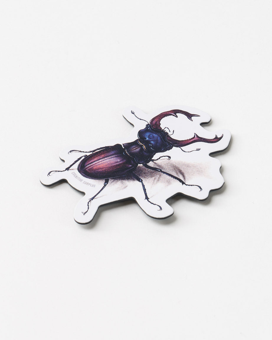 Beetle Magnet