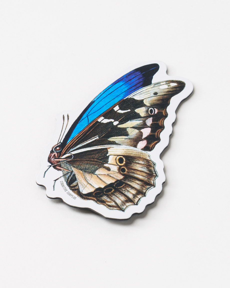 Butterfly Magnet