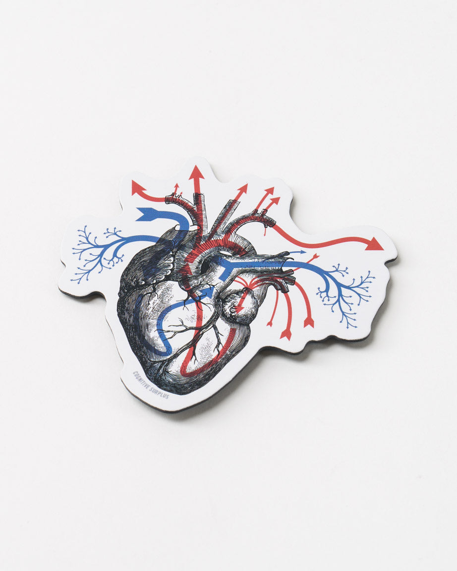 MnBloodFlow_01_1.jpg