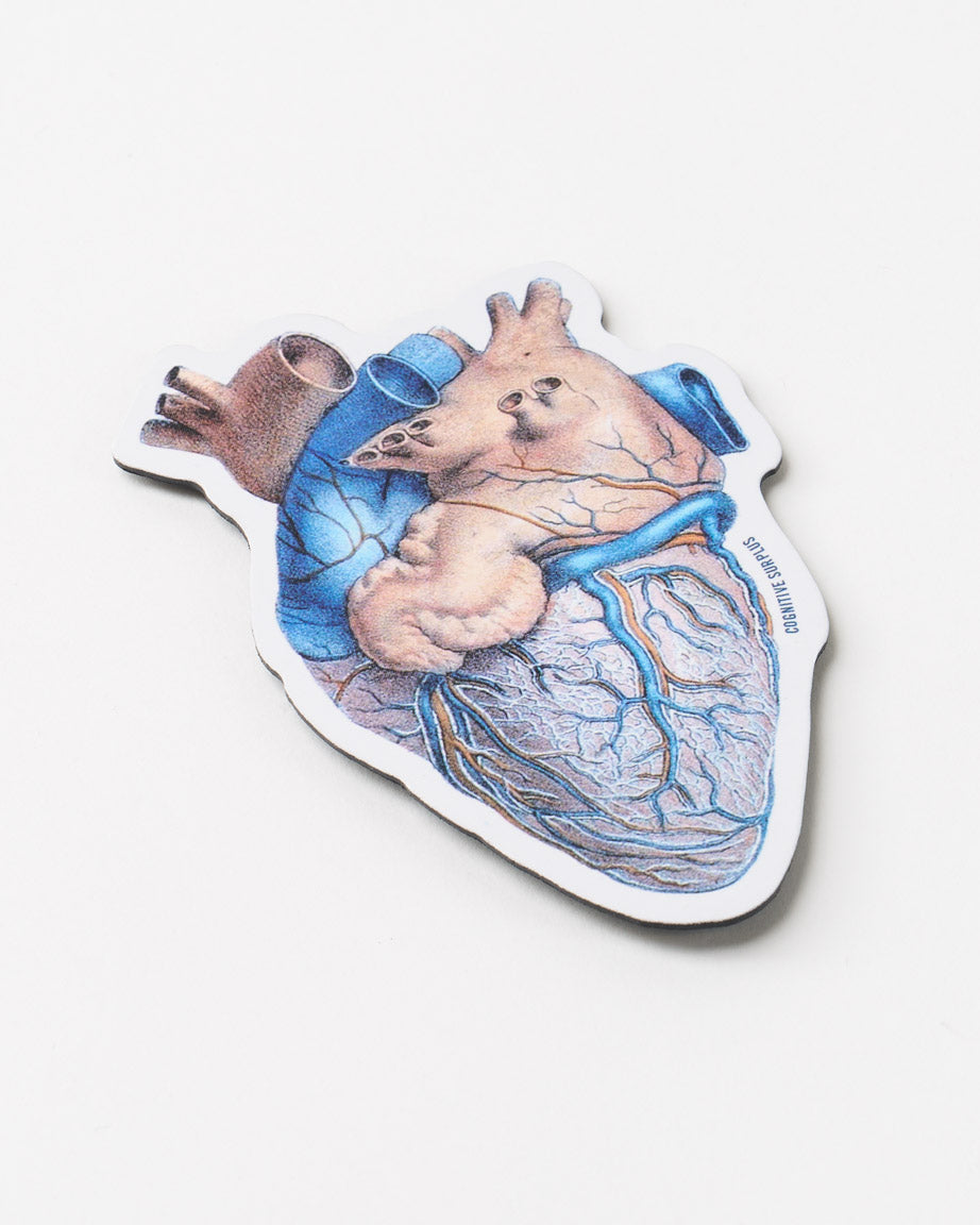 Anatomical Heart Magnet