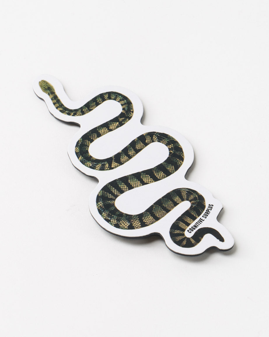 MnGreenSnake_01.jpg