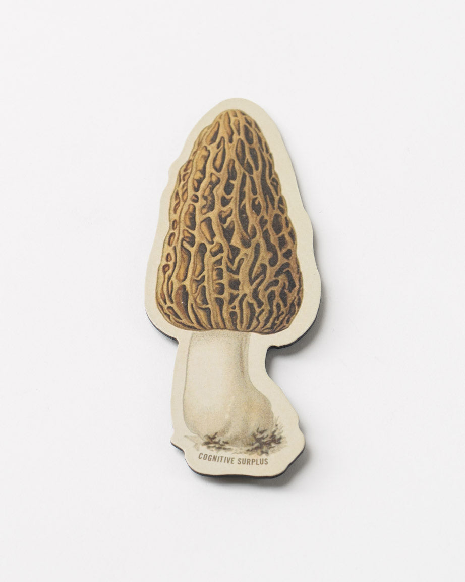 MnMorel_01.jpg