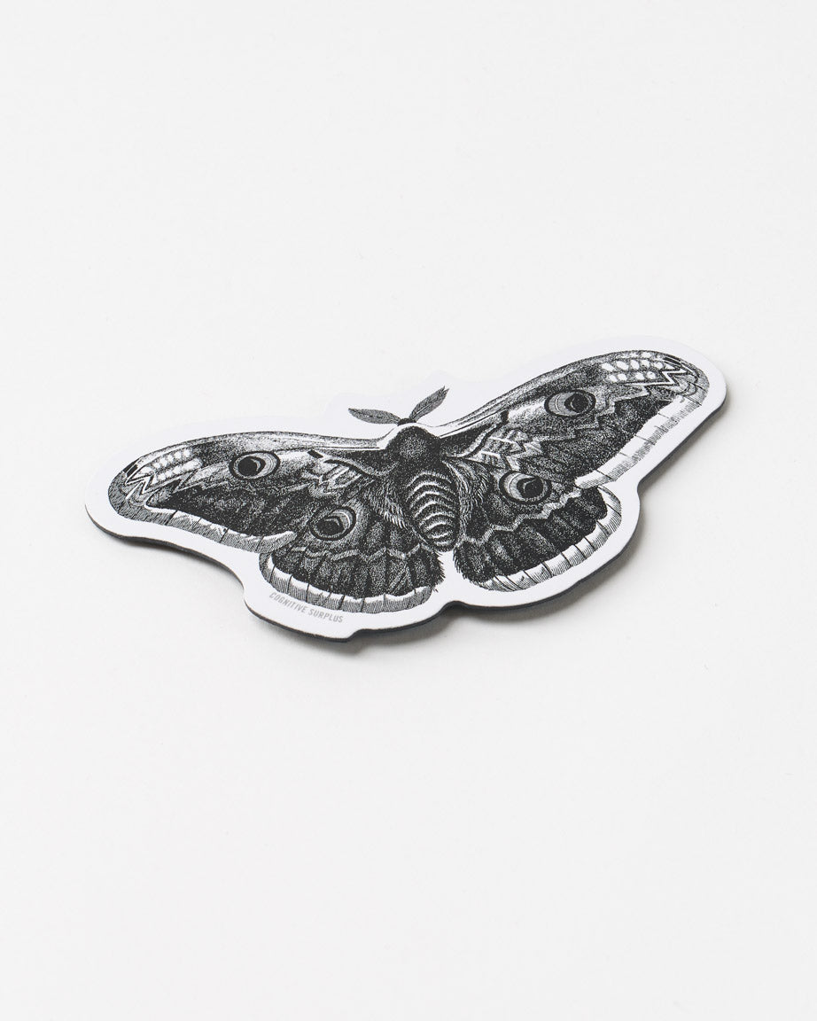 MnMoth_01.jpg