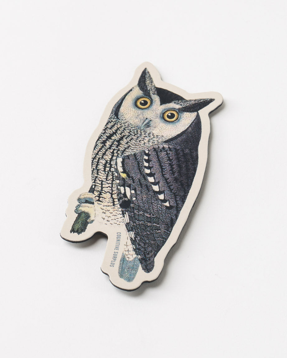 MnMottledOwl_01.jpg