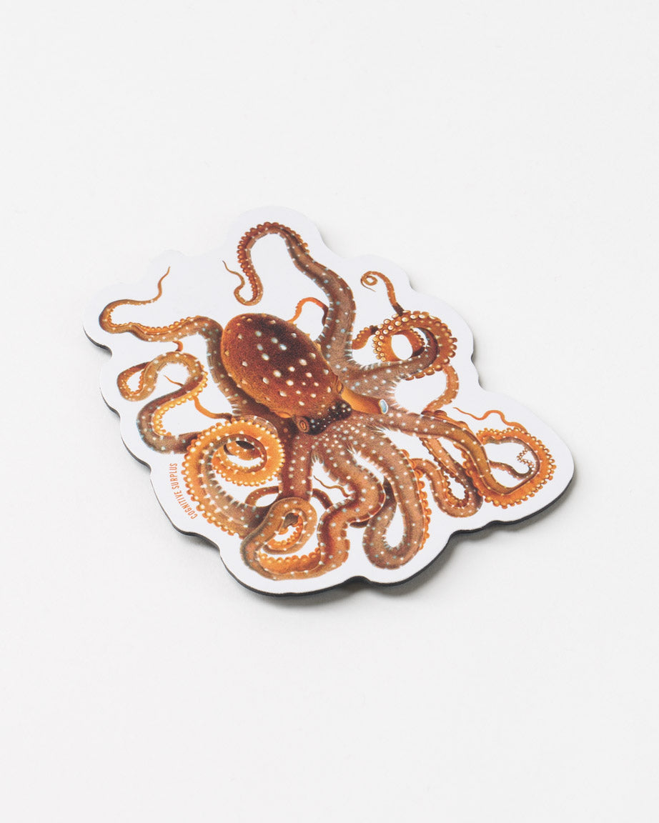 Atlantic White-Spotted Octopus Magnet