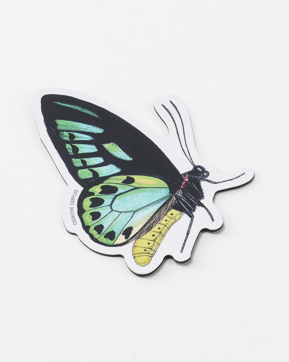 MnPapilio_01.jpg