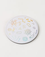 Petri Dish Magnet