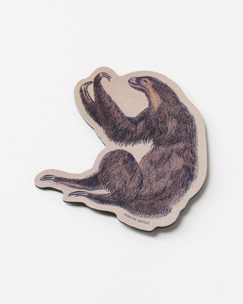 MnSloth_01.jpg