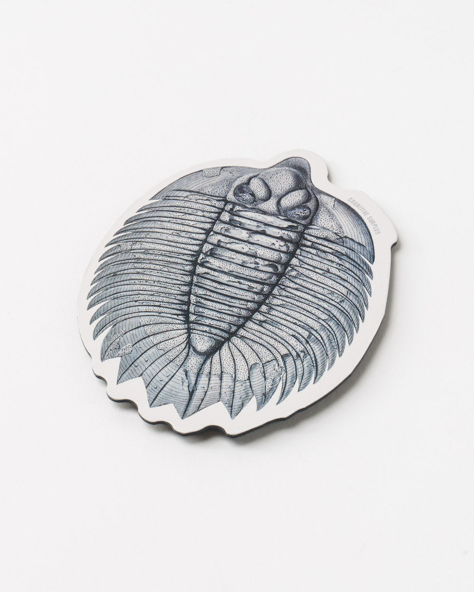 MnTrilobite_01.jpg