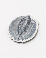 Trilobite Fossil Magnet
