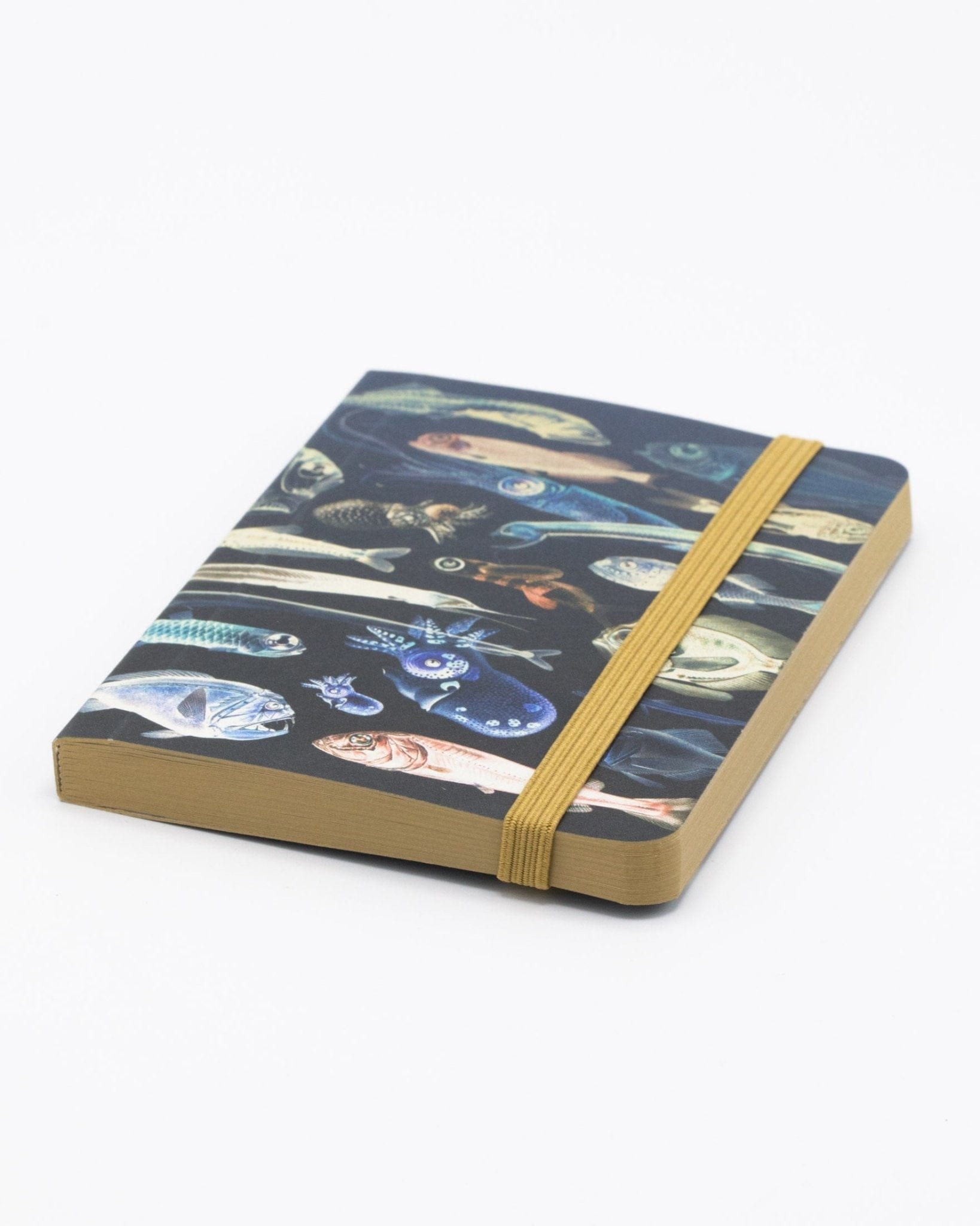 Mysteries of the Deep Observation Softcover Cognitive Surplus