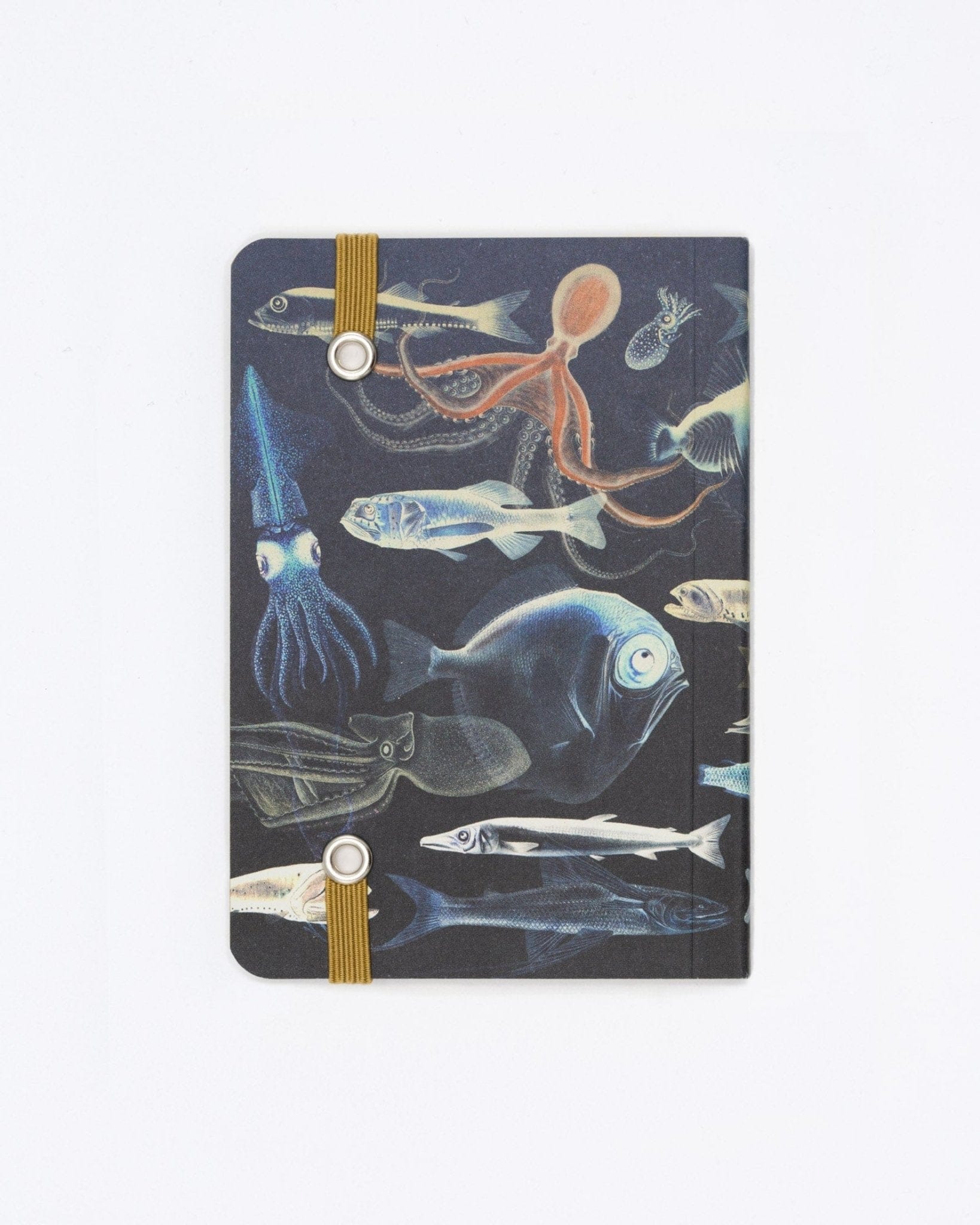 Mysteries of the Deep Observation Softcover Cognitive Surplus