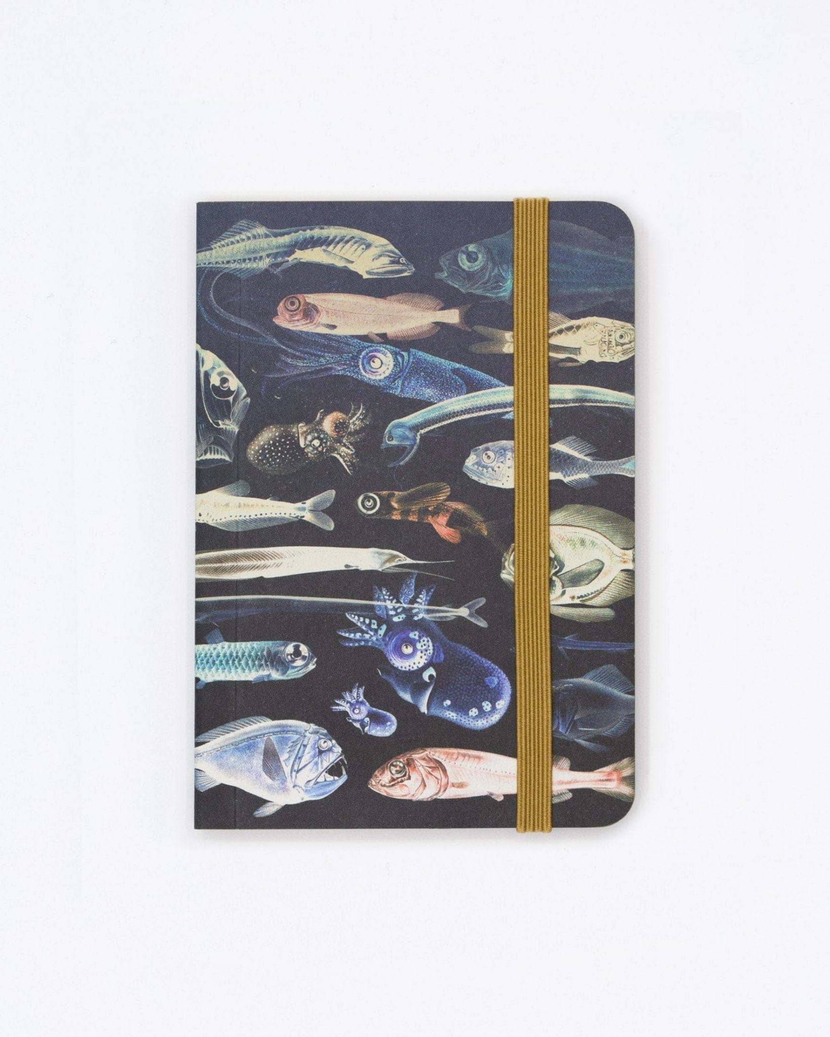 Mysteries of the Deep Observation Softcover Cognitive Surplus