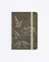 Dinosaur Bones Observation Softcover