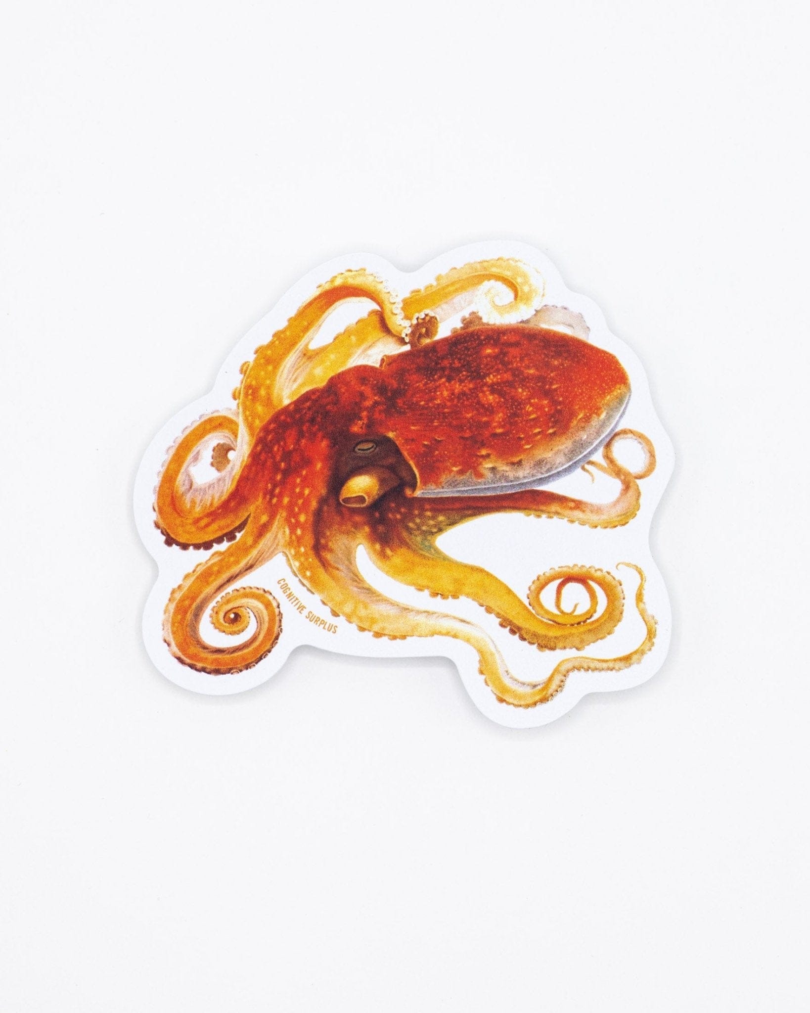 Octopus Sticker