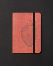 Anatomical Heart Dark Observation Softcover